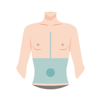 へそ周り・胸の間